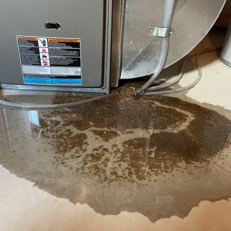 Appliance Leak Cleanup in Lyons, KS