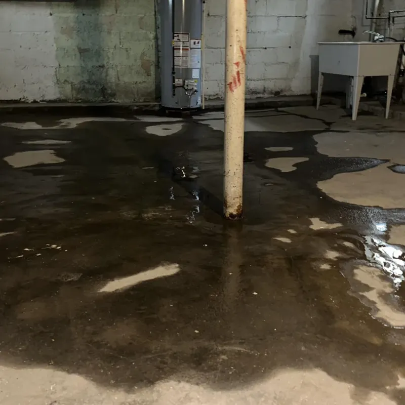 Emergency Water Extraction And Removal in Lyons, KS